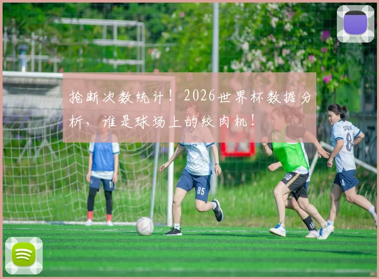抢断次数统计！2026世界杯数据分析，谁是球场上的绞肉机！