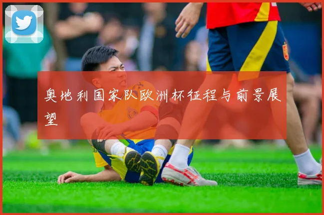 奥地利国家队欧洲杯征程与前景展望