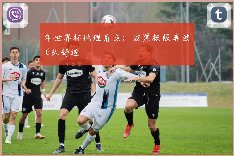 年世界杯地理看点:波黑极限奔波 6队舒适