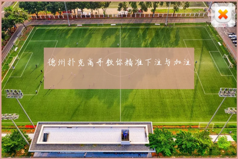 德州扑克高手教你精准下注与加注