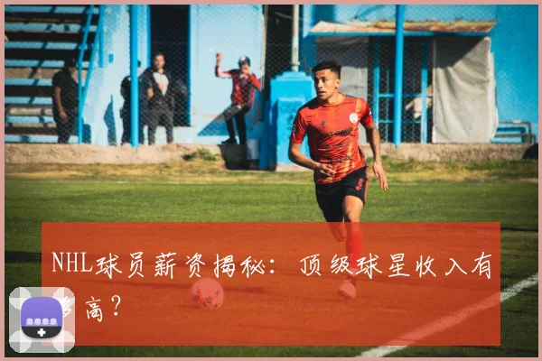NHL球员薪资揭秘：顶级球星收入有多高？