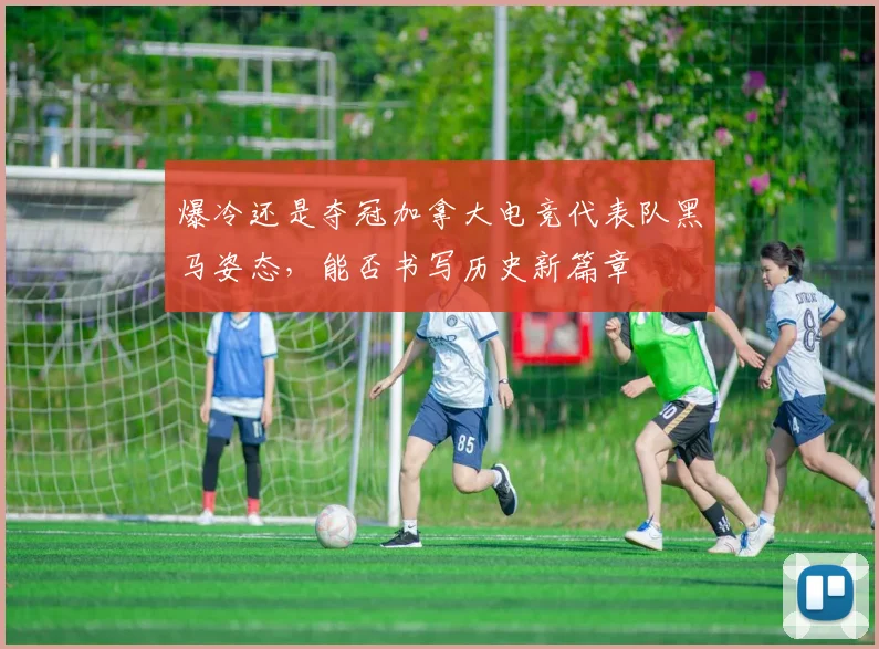 爆冷还是夺冠加拿大电竞代表队黑马姿态，能否书写历史新篇章