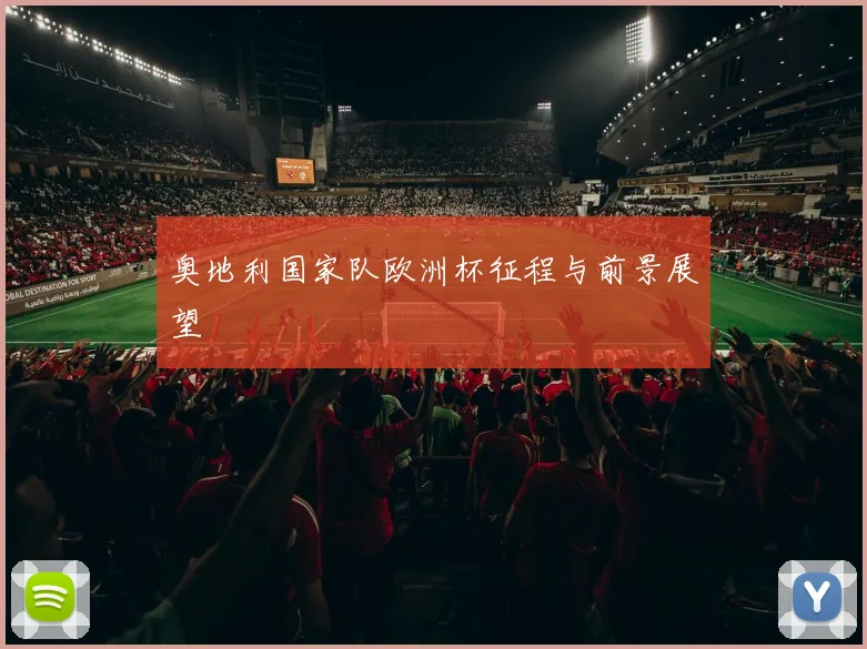 奥地利国家队欧洲杯征程与前景展望