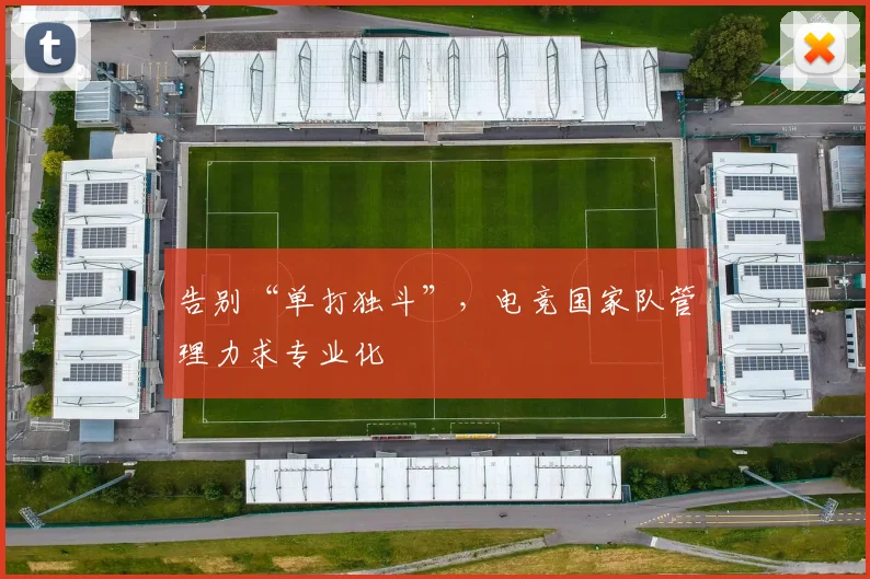 告别“单打独斗”，电竞国家队管理力求专业化