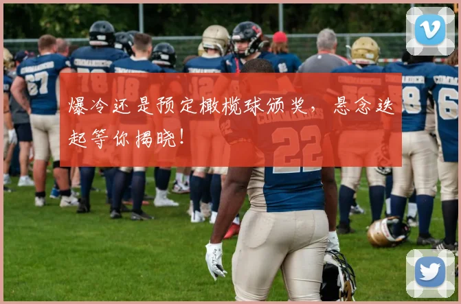 爆冷还是预定橄榄球颁奖，悬念迭起等你揭晓！