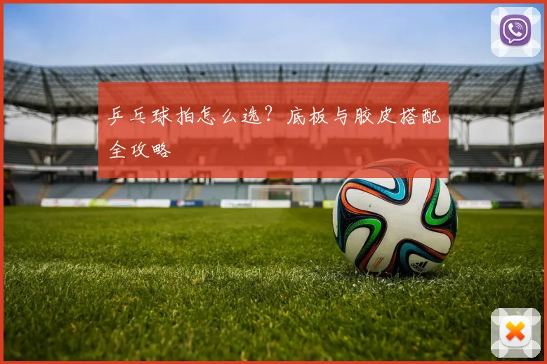 乒乓球拍怎么选?底板与胶皮搭配全攻略