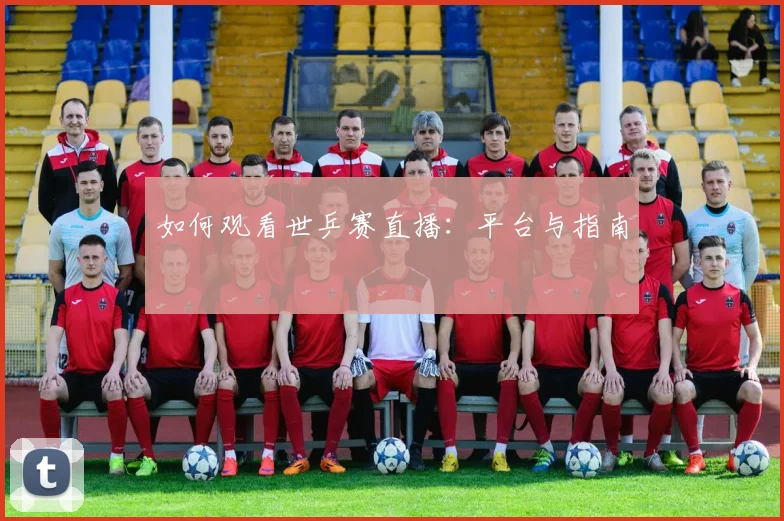 如何观看世乒赛直播：平台与指南